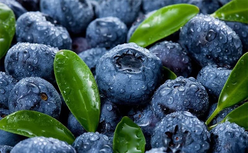 images/1713944977305blueberry fruit.jpg
